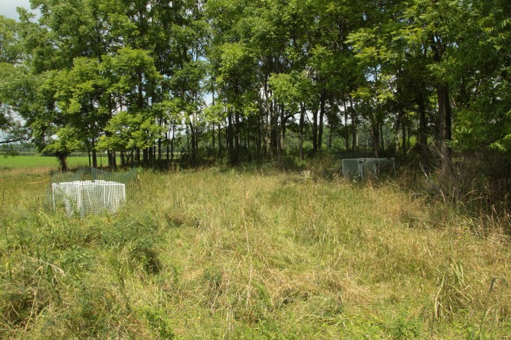 Experimental setup in a Tompkins County, New York field.